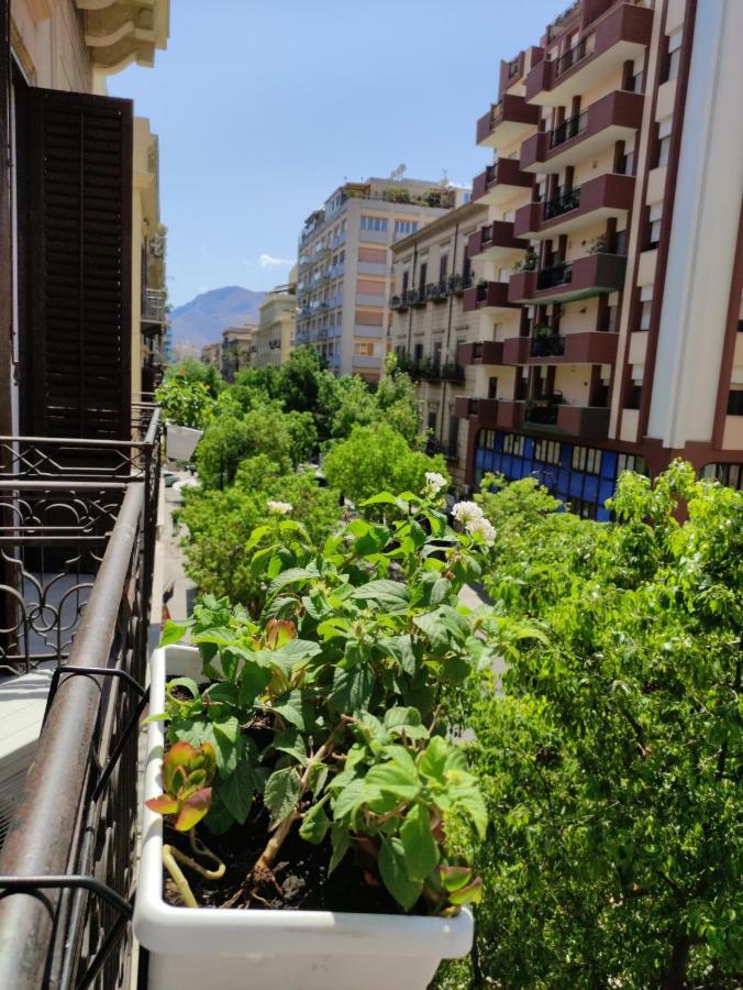 City Centre باليرمو المظهر الخارجي الصورة